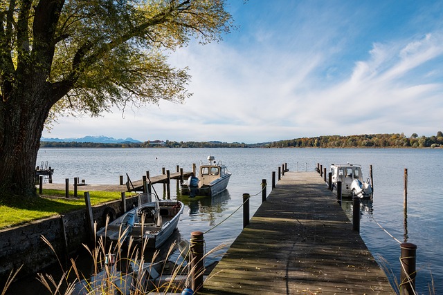 非百利而无 非百利而无