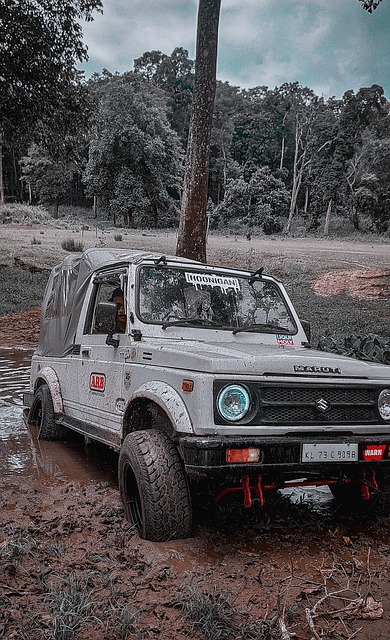 巴萨高度重 巴萨高度重