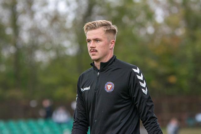 历史影响 历史影响