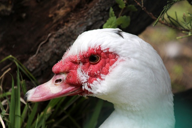 名人自曝 名人自曝