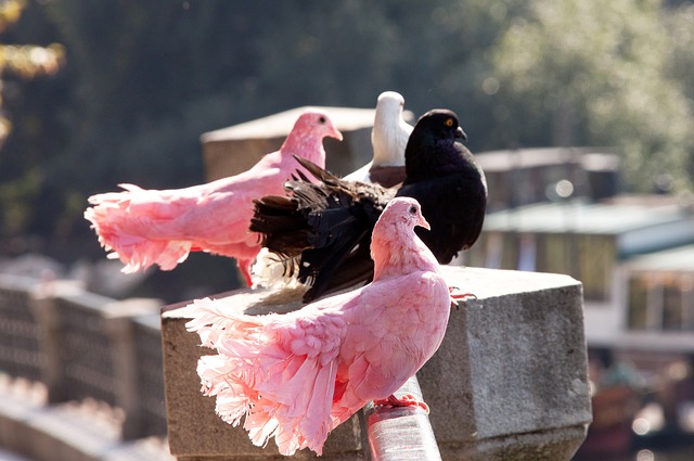 恩长期自责 恩长期自责