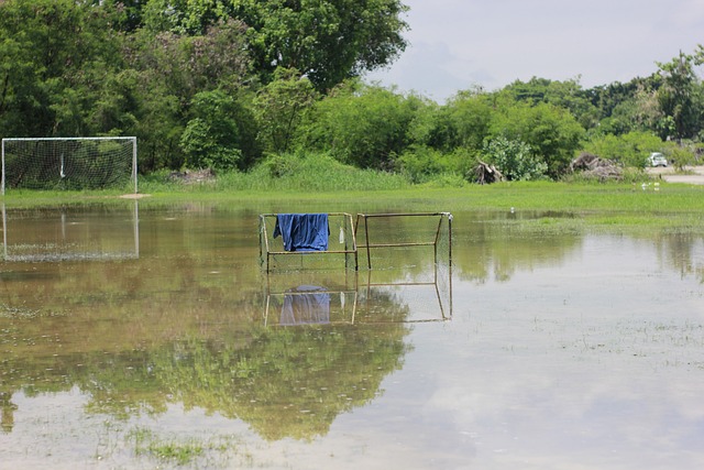 伴大有裨益 伴大有裨益