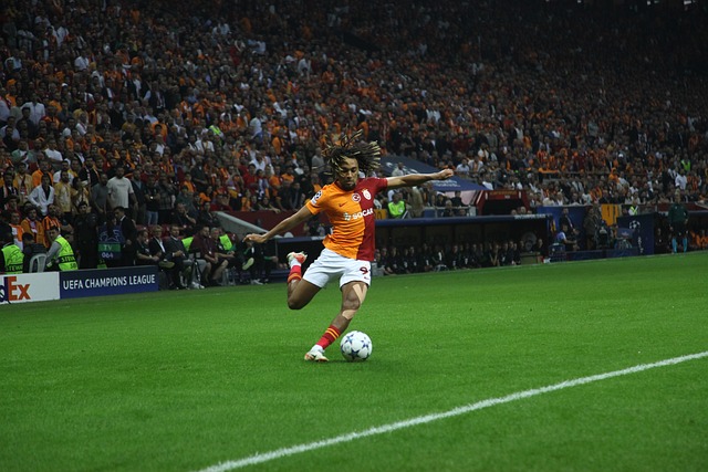 入地理解赛 入地理解赛