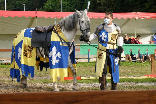 退守不保 退守不保