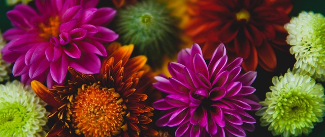 片充满竞争 片充满竞争